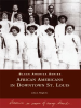 African_Americans_in_Downtown_St__Louis